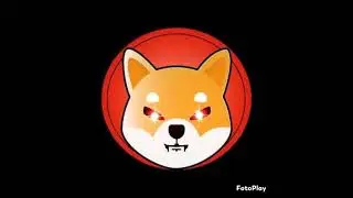 Shiba Inu Moon 🚀🚀🚀🚀🚀🚀🚀🛸