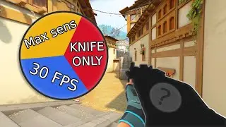Valorant but Everything is Random
