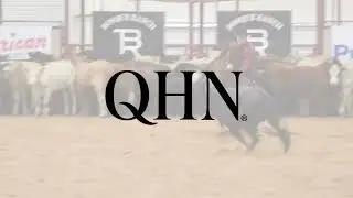 Brazos Bash 2023 Open 4YO Finals Highlights