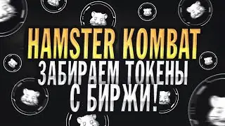 Hamster Kombat - Финал Близко