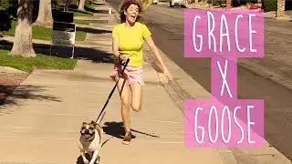 GRACE x GOOSE // Grace Helbig