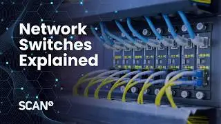 Network switches explained, all you need to know