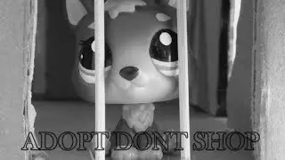 LPS ADOPT DONT SHOP