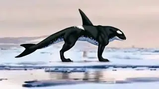 اغرب الحيوانات التي تم اكتشافها في عالم الحيوان من الصعب عليك تصديق وجودها !!!