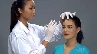 Crazy Needle wide