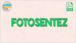 Fotosentez | AYT Biyoloji 2020