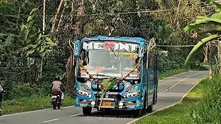 Merint bus #bus #viral #privatebus 