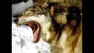 Jarek Laaser - Moskowskije Dni (Orginal Version).wmv