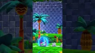 Sonic the hedgehog