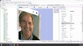 Controles: Tabelas, Etiquetas, Escala de Imagens e uso do Live Editing