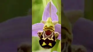 Офрис на связи