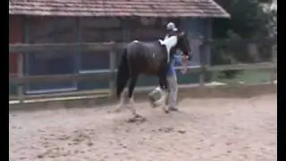 Altiva.wmv