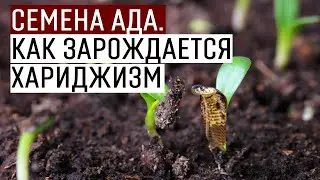 Семена ада. Как зарождается хариджизм