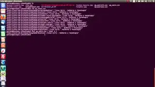 Sorteio Linux Girls.