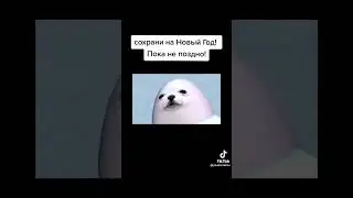 включите 31 декабря