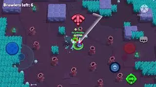 Shelly 😭😭😭