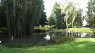 De Veluwe 2