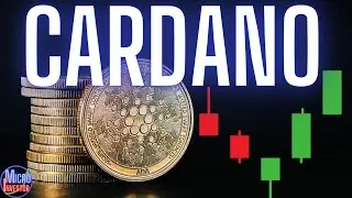 CARDANO WHAT IS GOING ON?  ADA PRICE UPDATE