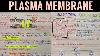 Plasma membrane structure and functions | plasma membrane structure | plasma membrane