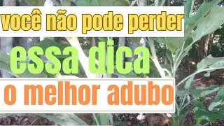 essa dica que você tem que fazer