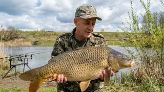 How to catch carp in spring in cold water.