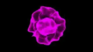 Shockwave 2