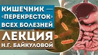 «Кишечник — «перекресток» всех болезней» - Лекция Байкуловой Н. Г.