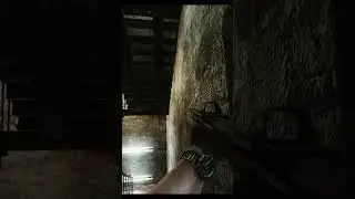 Play Nice in Tarkov