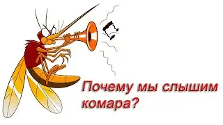 Почему мы слышим комара