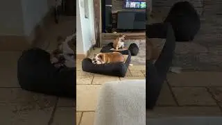 Always exhausted…