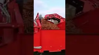 Carrot harvester | naya avishkaar