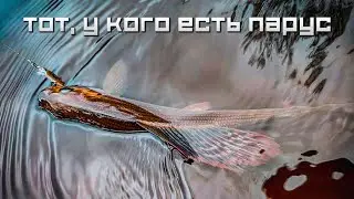 Тот, у кого есть парус: ловим хариуса и форель