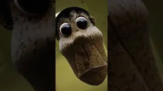 Obunga Backrooms 3D Model 