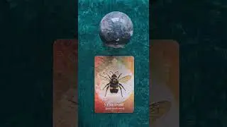 Message of the day #tarot #fortunecards ##cardoftheday #valorofcards