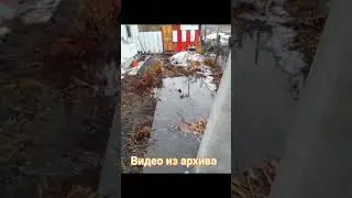 Архив 2022и 2023 года. Ждём помощи ещё с этого времени так наверное и не дождёмся. #кузбасс