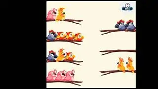 kids game chenal color Bird Mitu Mitu