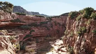 Canyon Demo File