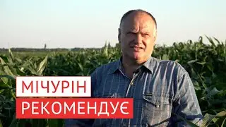 Як отримати кращий урожай, не вносячи тони добрив? Усе просто. Треба багато знати.