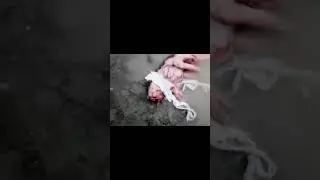 призраки  попали на камеру #shorts #respect