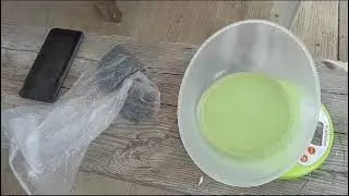 Мой улов на собственном пруду!