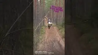 www.popwheelies.eu
