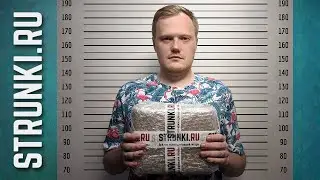 Накупил струн и медиаторов |  Струнки.ру Отзыв