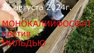Монокалийфосфат против МИЛЬДЬЮ