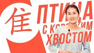 Ключевые иероглифы #74 隹 (птица с коротким хвостом) 🐥 УЧУ КИТАЙСКИЙ ЯЗЫК ✌ Школа Динары Мин ✌