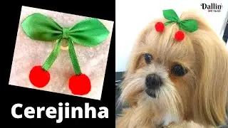2 modelos 🐾 Laço Pet Diferente - Cerejinha 🍒 Super Lindo Fácil Econômico 🎀 passo a passo