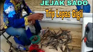 Mancing Udang Galah Sungai Muar Trip Lepas Gigil #mancingudang#prawns#shrimp