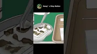 ASMR Animation | Massive Earwax Removal! | Ear cleaning | Meng's Stop Motion