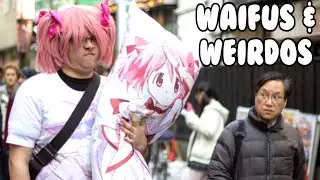 Waifus and Weirdos : A Tabletop RPG-lite for the Neckbeard inside all of us.