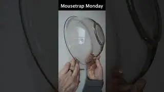 How To Catch A Mouse With A Glass Bowl.