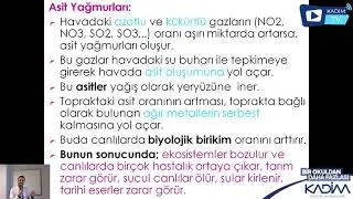 10.SINIF / BİYOLOJİ / Asit Yağmurları